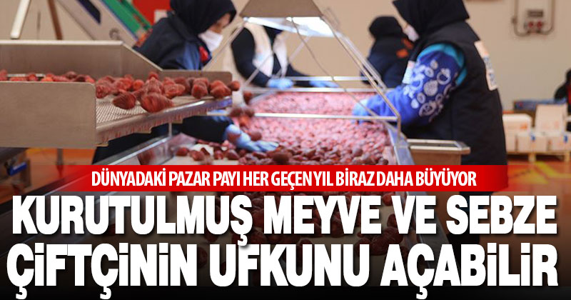 Kurutulmuş meyve ve sebze pazarında Denizli söz sahibi olabilir