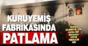 Kuruyemiş ve bakliyat işletmesinde patlama: Yaralılar var