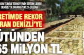 Üretimin lideri Denizli, tütünden 365 milyon TL gelir bekliyor