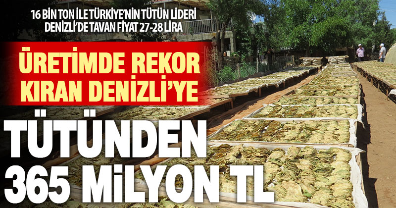 Üretimin lideri Denizli, tütünden 365 milyon TL gelir bekliyor