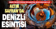 Denizli’den iki fotoğrafa jüri takdiri