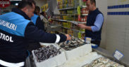 Tarımdan su ürünlerine yönelik denetim