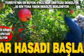 Türkiye’nin 4’ncü büyük üretici Denizli’de nar hasadı başladı