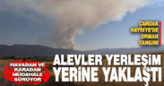 Hayriye’de orman yangını