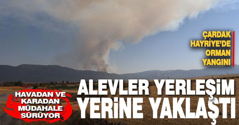 Hayriye’de orman yangını