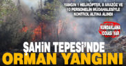 Şahin Tepesi’nde orman yangını. Kundaklama iddiası var
