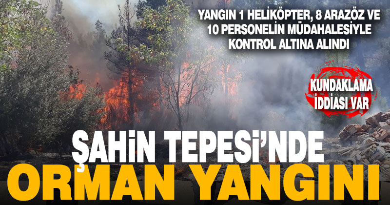 Şahin Tepesi’nde orman yangını. Kundaklama iddiası var