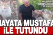 Çallı hayvan dostu, üç bacaklı kediye sahip çıktı