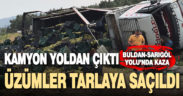 Buldan’da kaza. Kamyon yoldan çıktı, üzümler tarlaya saçıldı