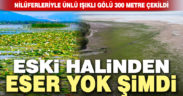 Nilüferleriyle ünlü Işıklı Gölü’nde su seviyesi düştü