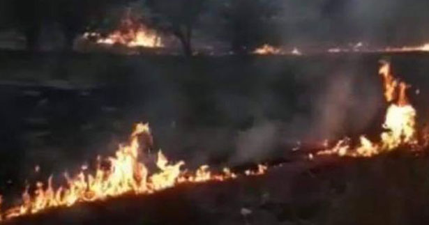 Acıpayam’da arazi yangını korkuttu