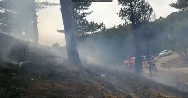 Çameli’de orman yangını ucuz atlatıldı
