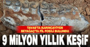 Tavas’ta karıncayiyen, Beyağaç’ta fil fosili bulundu, 9 milyon yıl öncesine tarihlendi