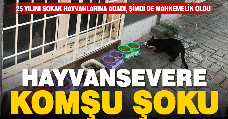 Sokak hayvanlarının gönüllü bakıcısına mahkeme şoku