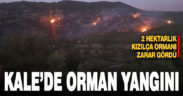 Kale’de orman yangını