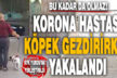 Korona hastası köpeği gezdirirken yakalandı, KYK yurduna yerleştirildi