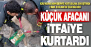 Kafasını konserve kutusuna sıkıştıran köpeği itfaiye kurtardı