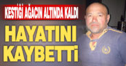 Kestiği ağacın altında kaldı, hayatını kaybetti