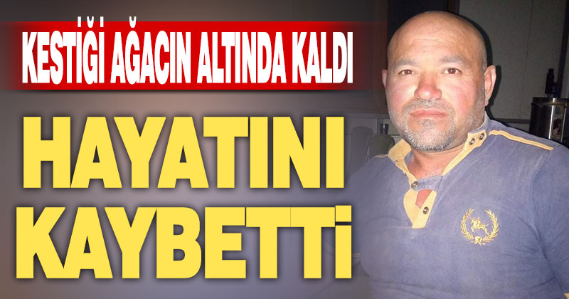 Kestiği ağacın altında kaldı, hayatını kaybetti