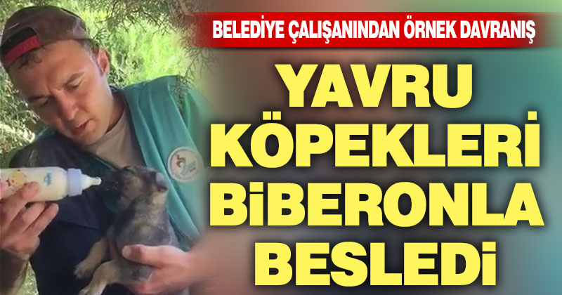 Pamukkale Belediyesi personelinden örnek davranış