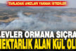 Bozkurt’ta yangın 1 hektar ormanı yaktı