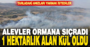 Bozkurt’ta yangın 1 hektar ormanı yaktı