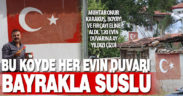 Bayrak aşığı muhtar 120 evin duvarına ay yıldız resmetti