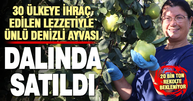 Lezzetiyle ünlü Denizli ayvası dalında satıldı
