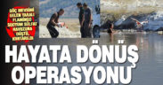 Yaralı bulunan flamingo kurtarılıp tedaviye alındı