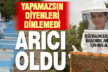 30 yaşındaki kadın İŞKUR ile arıcılığa başladı, ilk yıl 550 KG bal hasadı yaptı