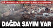 Akdağ’da yaban hayatı envanteri çıkarıldı