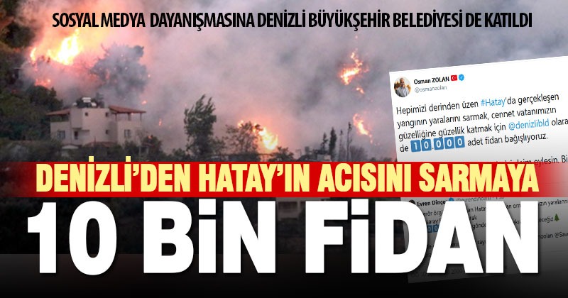 Hatay için sosyal medya dayanışması: Denizli’den 10 bin fidan