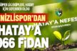 Hatay’daki yangına Denizlispor’dan 1966 adet fidan