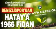 Hatay’daki yangına Denizlispor’dan 1966 adet fidan