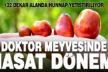 Hünnap hasadı başladı