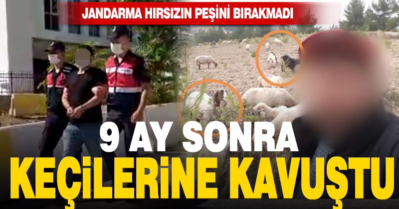 Jandarma, 9 ay önce çalınan keçileri sahibine teslim etti