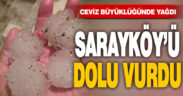 Sarayköy’ü ceviz büyüklüğünde dolu vurdu