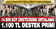 Denizli’deki 14 bin 337 süt üreticisine ortalama bin 100 TL destek primi ödendi