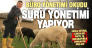 Büro yönetimi bölümünü bitirince işsiz kalan genç çobanlığa başladı