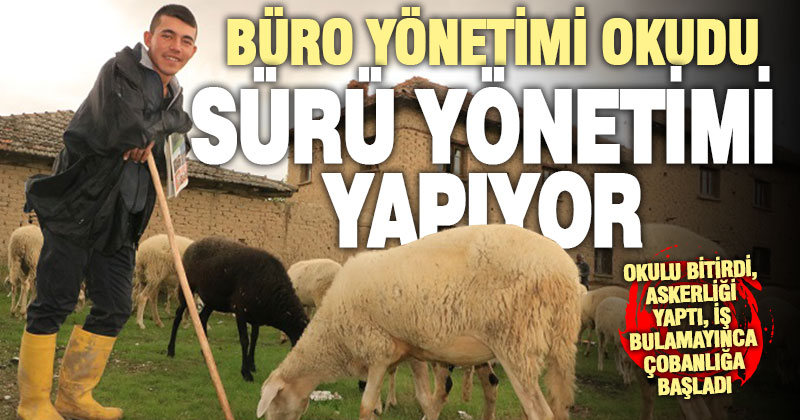 Büro yönetimi bölümünü bitirince işsiz kalan genç çobanlığa başladı