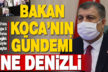 Sağlık Bakanı Koca, Denizli ile birlikte 5 şehrin sağlık müdürüyle görüştü