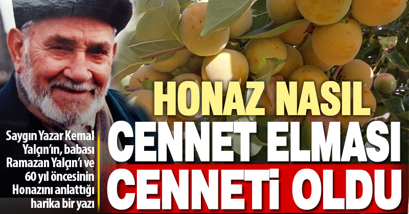 Saygın yazar Kemal Yalçın’ın kaleminden: Honaz’da cennet elması üretiminin 60 yıllık öyküsü