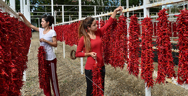 GEKA’dan Karacasu’yu kalkındıracak destek