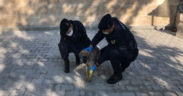 Yaralı köpeğe jandarma şefkati