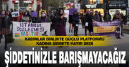 Denizlili kadınlar, kadına şiddeti kınadı