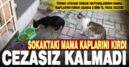 Sokak hayvanlarının beslendiği mama kabına tekme atarak kıran kişiye 2 bin TL ceza