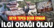 Pamukkale Belediyesi Seyir Tepesi Şehir Ormanı ziyaretçilerini ağırlıyor