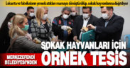 Merkezefendi Belediyesi, yemek atıklarını hayvan mamasına dönüştüren tesis kurdu
