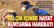 Kuruyan sulama göletinde ölmek üzere olan yavru balıkları gönüllüler kurtardı