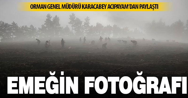 Acıpayam’da ağaçlandırma çalışmalarından müthiş kesit
